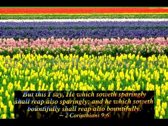 Spring (with Bible Verses) Screensaver Screenshot